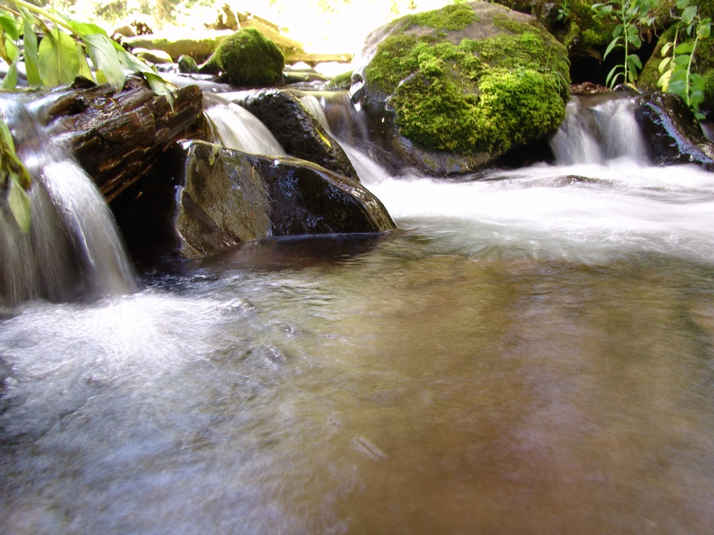 Long Shutter Speed Stream Photo